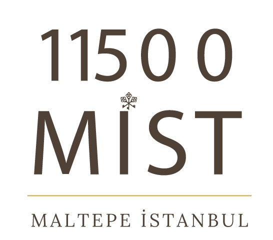 11500 Mist